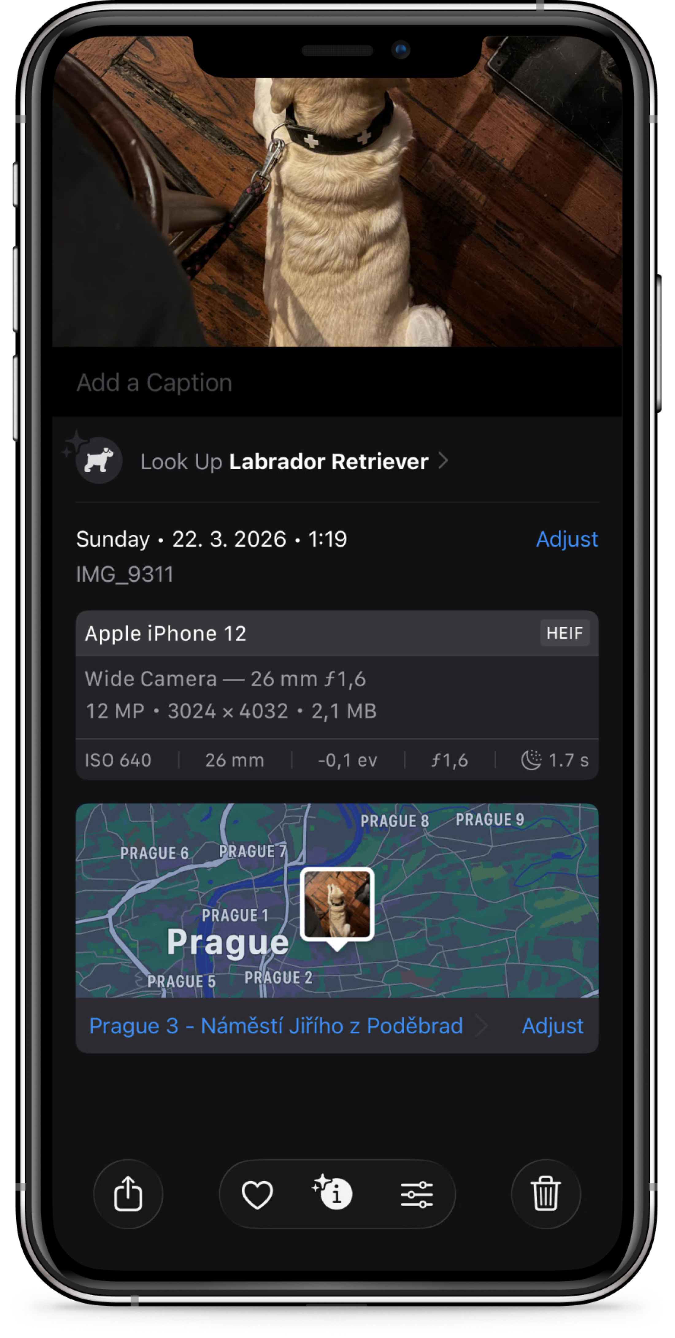 Photo with metadata